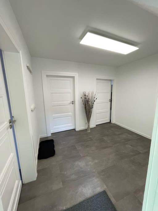 Komfortable Ferienwohnung In Halle-Kroellwitz Halle  Dış mekan fotoğraf
